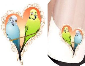 STICKERS OISEAUX