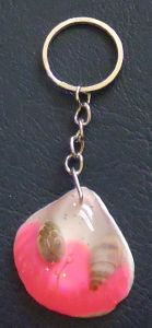 PORTE CLEFS COQUILLAGE ROSE 1